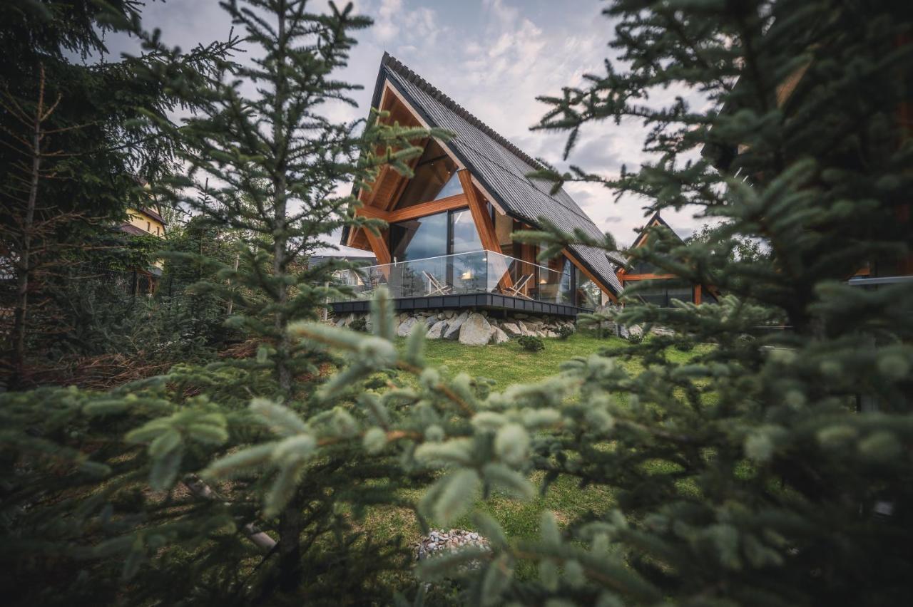Vip Chalet Zakopane Косцелиско Экстерьер фото